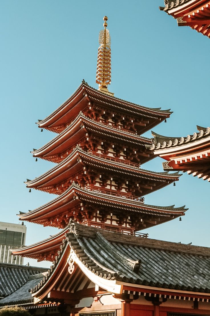 歴史と遺産