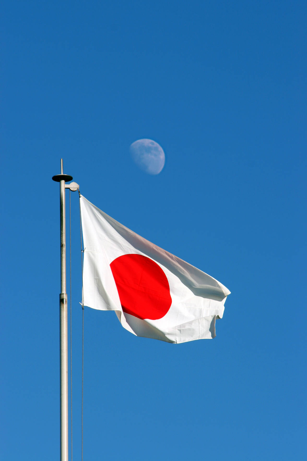 概要